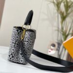 Louis Vuitton Women LV Since 1854 Capucines MM Gray Embroidered Calfskin Cowhide - Bild 4