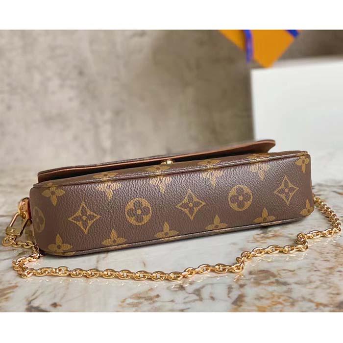 Louis Vuitton Women LV Wallet On Chain Ivy Brown Monogram Coated Canvas (3)