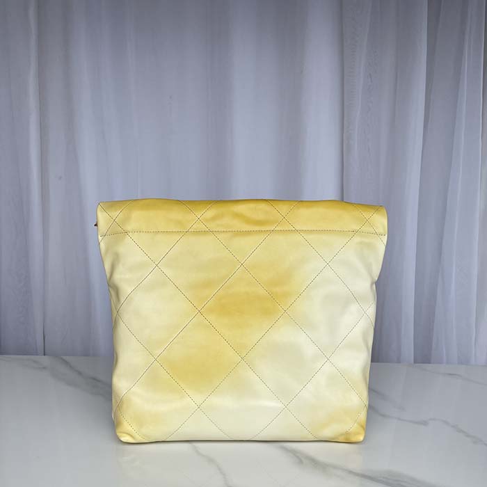Chanel Women CC 22 Handbag Pearly Shaded Calfskin Gold-Tone Metal Ecru Golden (3)