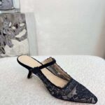Dior Women Shoes CD Capture Heeled Mule Black Transparent Mesh Suede Embroidered Roses - Image 7
