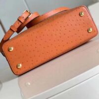 Louis Vuitton LV Women Capucines BB Orange Menthe Mint Ostrich Leather Monogram Flower (2)