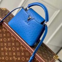 Louis Vuitton LV Women Capucines Mini Menthe Blue Goatskin Ostrich Leather Monogram Flower (6)