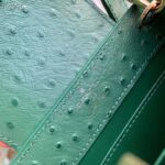 Louis Vuitton LV Women Capucines Mini Menthe Mint Ostrich Leather Monogram Flower – Image 7