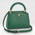 Louis Vuitton LV Femme Capucines Mini Menthe Cuir d'autruche Monogram Fleur
