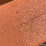 Louis Vuitton LV Women Félicie Pochette Brown Monogram Empreinte Embossed Supple Grained Cowhide - immagine 9