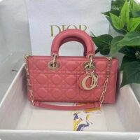 Dior Women CD Medium Lady D-Joy Bag Rust-Colored Cannage Lambskin (8)