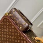 Louis Vuitton LV Women Cluny Mini Handbag Monogram Coated Canvas Cowhide Leather – Image 5