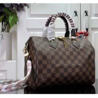 Louis Vuitton Women LV Braided Speedy 25 Handbag Damier Ebene Coated Canvas (5)