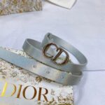 Dior Unisex CD Dior Or Saddle Belt Metallic Silver-Tone Smooth Calfskin 20 MM - Image 4