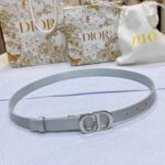 Dior Unisex CD Dior Or Saddle Belt Metallic Silver-Tone Smooth Calfskin 20 MM - Image 2
