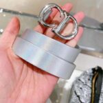 Dior Unisex CD Dior Or Saddle Belt Metallic Silver-Tone Smooth Calfskin 20 MM - Image 9