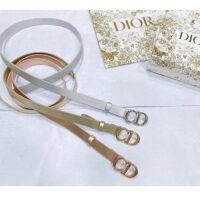 Dior Unisex CD Dior Or Saddle Belt Metallic Silver-Tone Smooth Calfskin 20 MM (2)