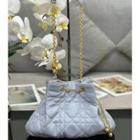 Dior Women CD Large Ammi Bag Ethereal Gray Supple Macrocannage Lambskin (1)
