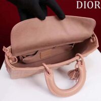 Dior Women CD Medium D-Joy Bag Rose Des Vents Cannage Calfskin Diamond Motif (8)