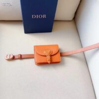 Dior CD Women Dior Bobby Belt Removable Pouch Orange Smooth Calfskin 20 MM Width (2)