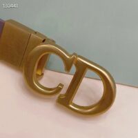 Dior Unisex CD Reversible Saddle Belt Golden Saddle Black Latte Smooth Calfskin (2)