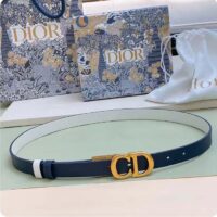 Dior Unisex CD Reversible Saddle Belt Golden Saddle Blue Latte Smooth Calfskin (2)