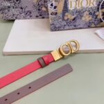 Dior Unisex CD Reversible Saddle Belt Golden Saddle Rani Pink Latte Smooth Calfskin - Image 6
