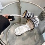 Dior Women CD Dway Heeled Slide White Black Embroidered Cotton Toile De Jouy Voyage - Image 8