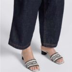 Dior Women CD Dway Heeled Slide White Black Embroidered Cotton Toile De Jouy Voyage - Image 12