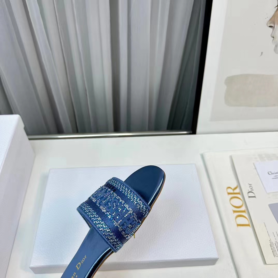 Dior Women CD Dway Slide Blue Cotton Embroidered Metallic Thread Strass (6)