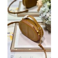 Dior Women CD Signature Oval Camera Bag Golden Saddle Calfskin Calfskin Embossed (10)