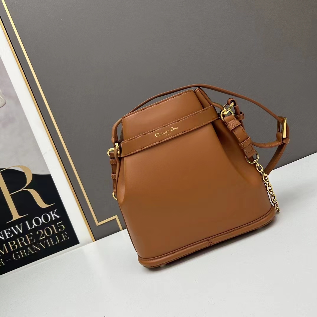 Dior Women CD Small C’est Dior Bag Golden Saddle CD-Embossed Calfskin (3)