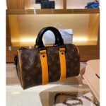 Louis Vuitton LV Unisex Keepall Bandoulière 25 Radiant Sun Monogram Macassar Coated Canvas - Image 6