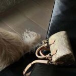 Louis Vuitton LV Women Nano Speedy Beige Monoglam Coated Canvas Zip Closure - immagine 7