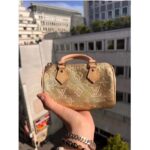 Louis Vuitton LV Women Nano Speedy Beige Monoglam Coated Canvas Zip Closure - immagine 12