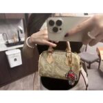 Louis Vuitton LV Women Nano Speedy Beige Monoglam Coated Canvas Zip Closure - immagine 14
