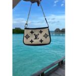 Louis Vuitton Unisex Mini Pochette Accessoires Black Lotus Cotton Cowhide Zip Closure – Bild 6