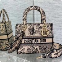 Dior Women CD Medium Lady D-Lite Bag Beige Black Plan De Paris Embroidery (7)