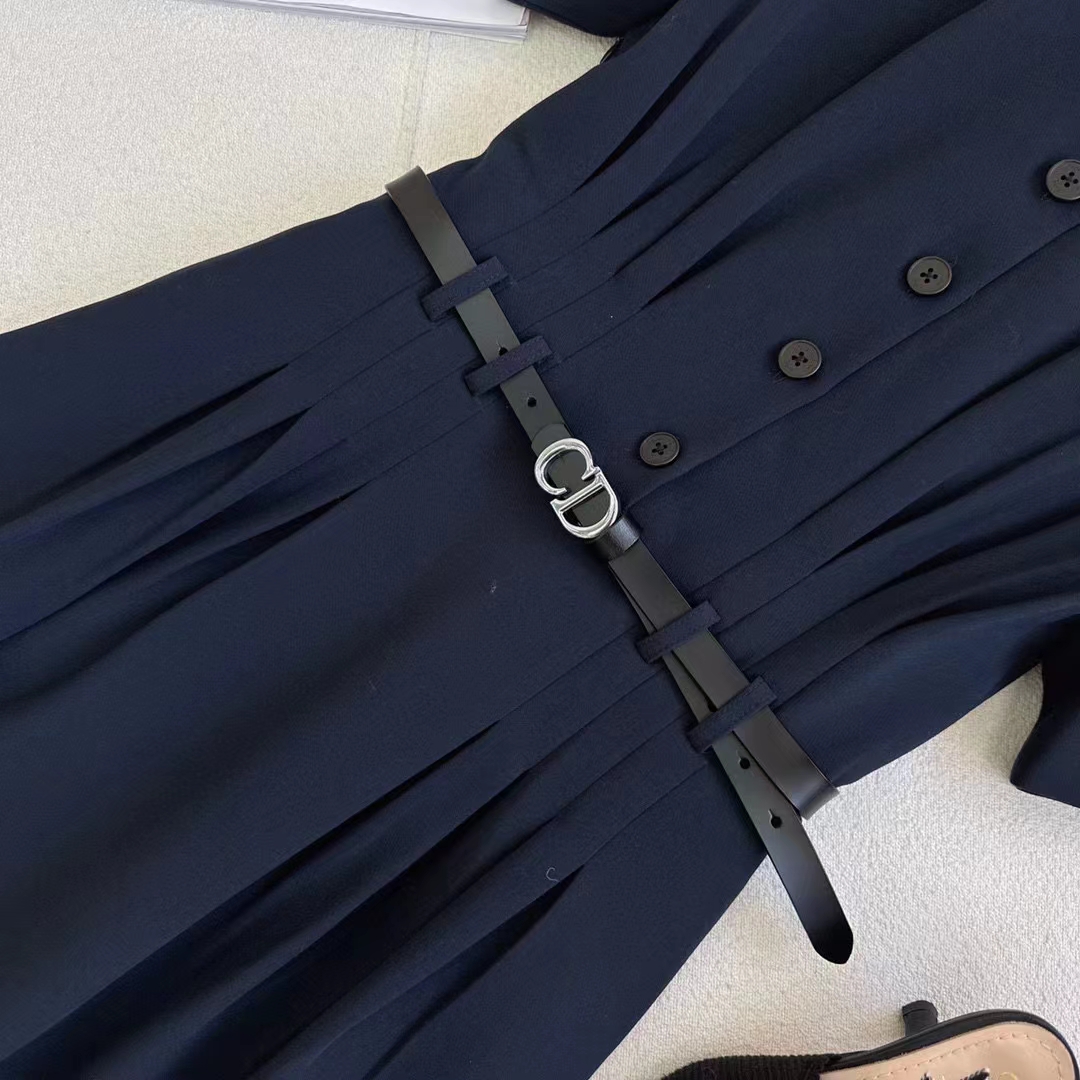 Dior Women CD Mid-Length Shirt Dress Gray Silk Tonal Belt Pleated Style Unlined (12)