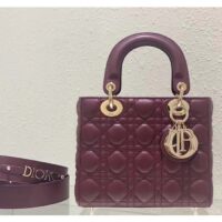 Dior Women CD Small Lady Dior My ABCDior Bag Deep Fuchsia Cannage Lambskin (3)