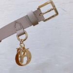 Dior CD Unisex Miss Dior Belt Beige Smooth Calfskin 20 MM Width - Bild 4