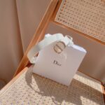 Dior Unisex CD Saddle Belt Latte Ultrasmooth Calfskin White Crystals 20 MM Width - Image 3