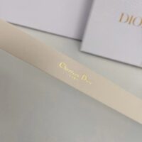 Dior Unisex CD Saddle Belt Latte Ultrasoft Calfskin 20 MM Width (3)