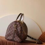 Louis Vuitton LV Unisex Speedy 30 Damier Ebene Coated Canvas Natural Cowhide Leather - Image 4