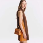 Louis Vuitton LV Women Cluny Mini Gold Miel Epi Grained Smooth Cowhide Leather - Imagen 14