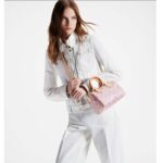 Louis Vuitton LV Women Seedy Bandoulière 20 Pink Monoglam Rose Monoglam Coated Canvas - Image 14