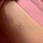 Louis Vuitton LV Women Seedy Bandoulière 20 Pink Monoglam Rose Monoglam Coated Canvas - Image 12