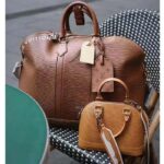 Louis Vuitton LV Unisex Alma Travel GM Cognac Calf Leather Double Zip Closure - Imagen 4