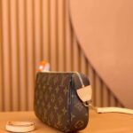 Louis Vuitton Women Pochette Accessoires Natural Cowhide Leather Trimmings Zipper Closure - immagine 5