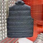 Dior Men CD Dior Oblique Sleeveless Down Jacket Gray Technical Jacquard - Image 4