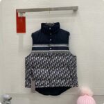 Dior Men CD Reversible Sleeveless Down Jacket Blue Ecru Oblique Quilted Technical Taffeta - immagine 4