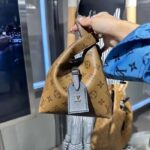 Louis Vuitton LV Women Atlantis BB Monogram Reverse Coated Canvas Cowhide Leather - immagine 11