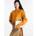 Louis Vuitton LV Women Capucines BB Handbag Snow White Taurillon Cowhide Leather - immagine 12