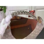 Louis Vuitton LV Women Carmel Hobo Bag Gray Mahina Perforated Calfskin Leather - Image 6