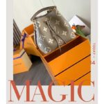 Louis Vuitton LV Women NéoNoé MM Bucket Bag Tourterelle Gray Cream Embossed Grained Cowhide Leather - Image 2